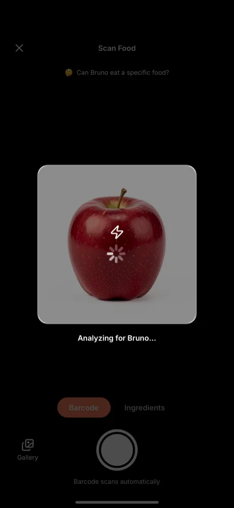 Scan Everything