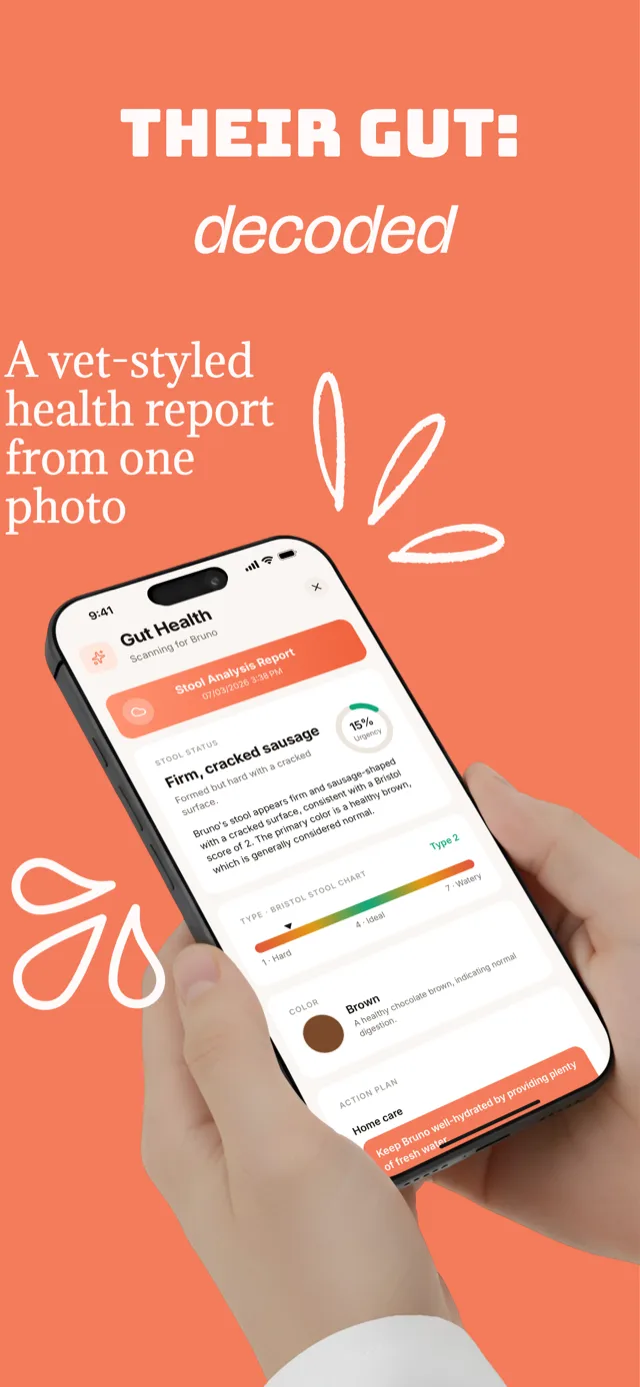 PawMe app screen